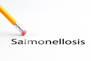 Closeup of pencil eraser and black salmonellosis text. Salmonellosis. Salmonella. Pencil with eraser.