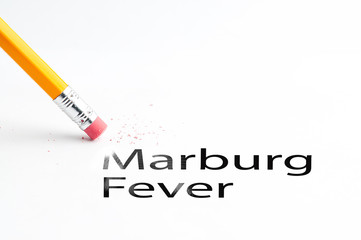 Closeup of pencil eraser and black Marburg Fever text. Marburg Fever. Pencil with eraser.