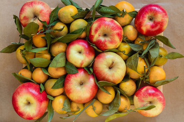Background from red apples and tangerines on branches with leaves