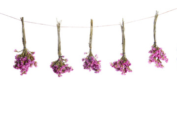 three bouquets of dried flowers on a white background