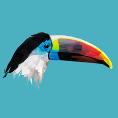 Toucan low poly design. Triangle vector illustration.