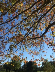 bright and sunny fall afternoon