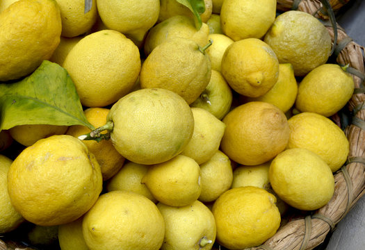 Limoni