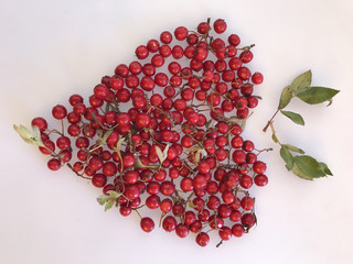 natural cranberry fruit