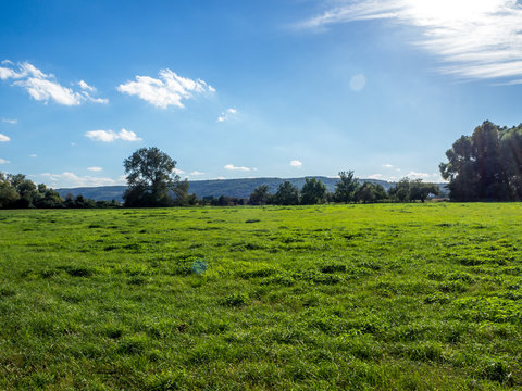 Greenfield In Remagen