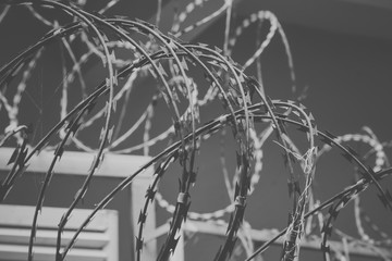 Pattern Barbed wire
