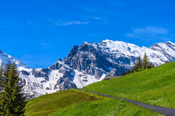 Beautiful Swiss mountain valley landscape with trail.