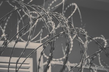 Pattern Barbed wire
