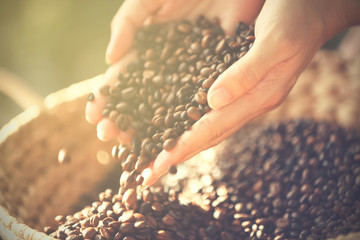 Female hands with roasted coffee beans, closeup