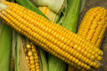 Ripe yellow sweet corn cob on a wooden table close-up