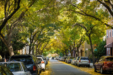 Fototapeta premium Autumn alley in the city