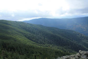 Carpathians.