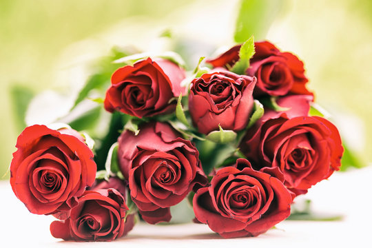 Rote Rosen Stock Photos And Royalty Free Images Vectors And Illustrations Adobe Stock