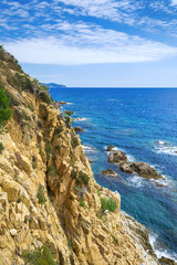 Cactus garden in the Lloret de mar, Costa Brava, Catalonia, Spain