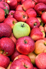 Fresh organic apples on street market stall