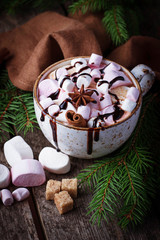 Hot chocolate with marshmallow
