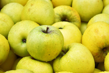 Fresh organic apples on street market stall