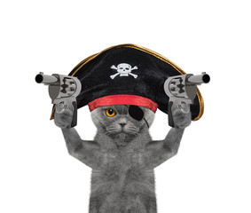 cat in a pirate costume with guns