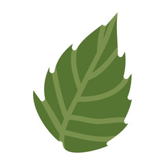 green Leaf plant icon. Nature floral garden and decoration theme. Isolated design. Vector illustration