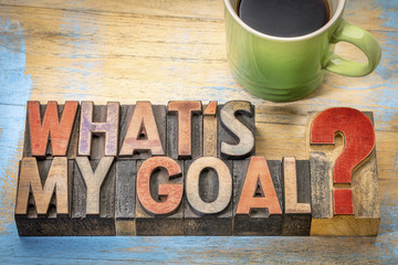 What is my goal?