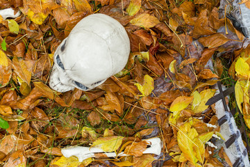 Wet dried leaves on the grass with a skull