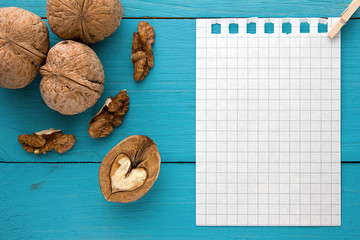 Menu background. Cook book. Recipe notebook with walnuts on turquoise wooden texture
