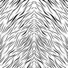 zebra animal print design background.  vector illustration