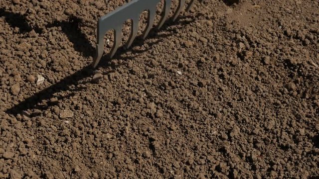 Slow motion of handle metal rake spreading and leveling ground 1080p HD footage - Manual using weed raker for grading garden soil for outdoor activities slow-mo 1920X1080 FullHD video 