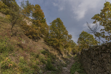 Fototapeta premium Divci Kamen ruin of castle in autumn