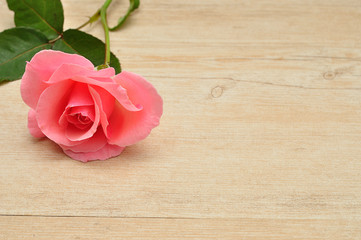 A single pink Rose on a wooden table