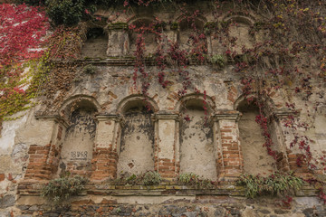 Fototapeta na wymiar House near river Vltava and Divci Kamen ruin of castle in autumn