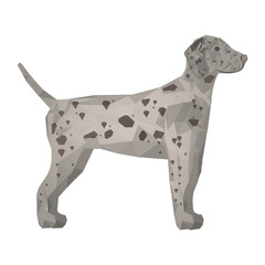 Dalmatian dog animal with abstract design over white background. vector illustration