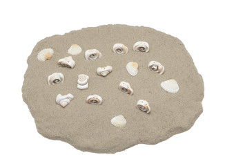 seashells on the sand