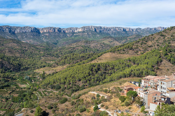 Fototapeta na wymiar Torroja del Priorat is a small but significant village in the comarca Priorat, in the province of Tarragona. A famous wine-growing area where the prestigious wine of Priorat and Montsant is produced