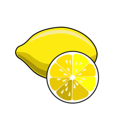 Lemon isolated vector on white background.