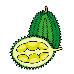 Durian isolated vector on a white background