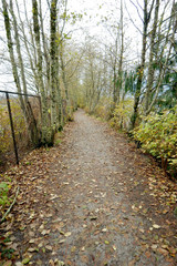 Fall Path Beside Fence