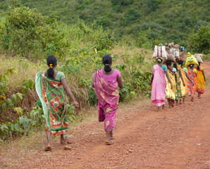 Tribal women carry goods  on their heads  in Ankadeli, Orissa in India