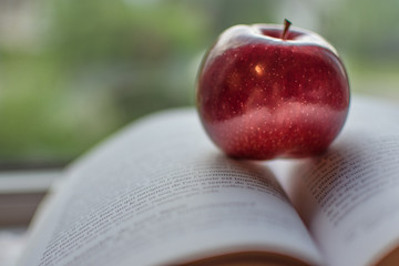 pomme sur un livre zen