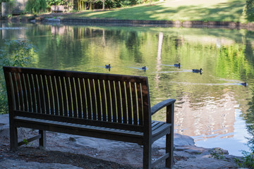 Naklejka premium Bench overlooking a lake with ducks and reflections. Peaceful spot. Relax. 
