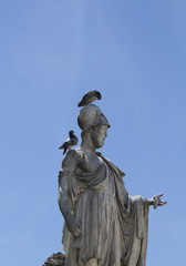 Pigeons on top of a statue at Jarden Des Tuileries in Paris with clear blue sky background. Expansive, 17th-century formal garden dotted with sculptres,