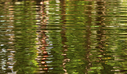Tropical stream ripple water background