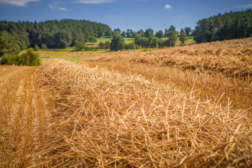 Stroh Feld Landschaft Landwirtschaft
