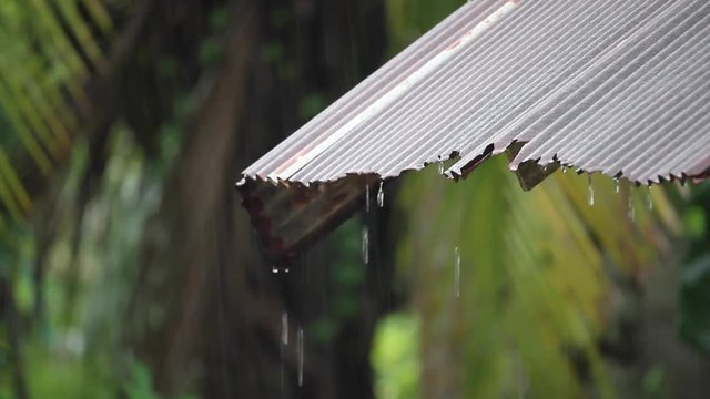 rain flows down from a roof down,in Thailand