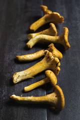 Dark rustic still life harvest of chanterelles mushrooms for cooking