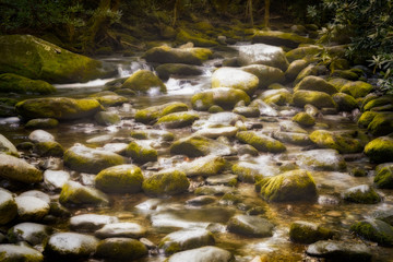 Rocky River