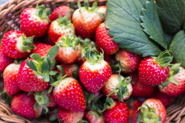 Red strawberries in a basket