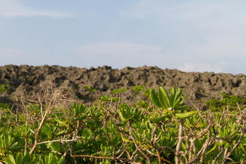 Fototapeta premium 残波岬