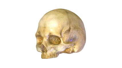 3d rendered medically accurate illustration of skeleton anatomy