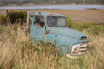 Obraz na płótnie Canvas Old truck in grass